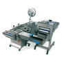 Лінія для нарізки та пакування хліба D/Packaging Line Cross Slicer 208